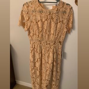 Lace shorts sleeve sheath midi dress